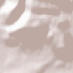 Löhningen Terrain Map