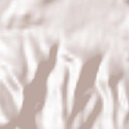 Bayerisch Gmain Terrain Map