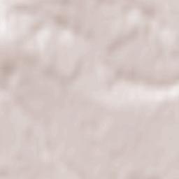 Todireşti Terrain Map