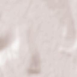 Albeşti Terrain Map