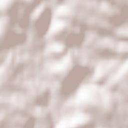 Herrischried Terrain Map