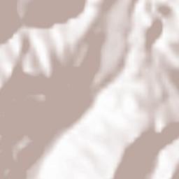 Sankt Gallen Terrain Map