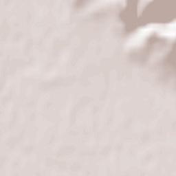 Cicârlău Terrain Map