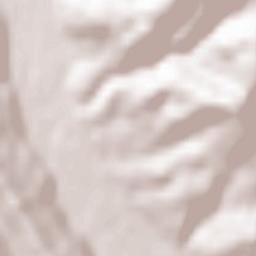 Moldoviţa Terrain Map