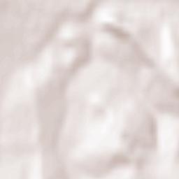 Costâna Terrain Map