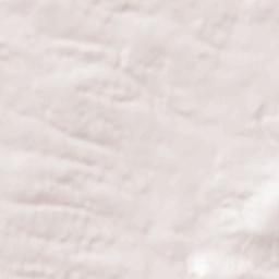 Waterville Terrain Map