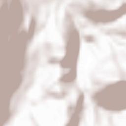 Spital am Pyhrn Terrain Map