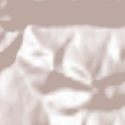 Schottwien Terrain Map