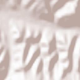 Săliştea de Sus Terrain Map