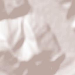 Vatra Moldoviţei Terrain Map