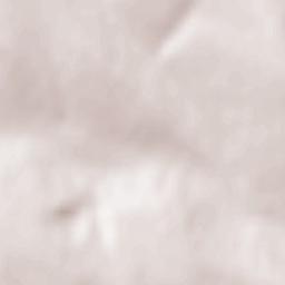 Bilicenii Vechi Terrain Map