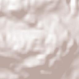 Frauenfeld District Terrain Map