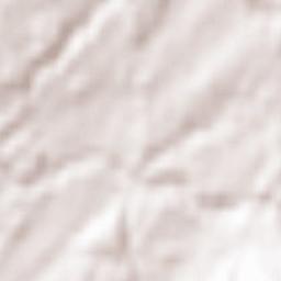 Opfenbach Terrain Map