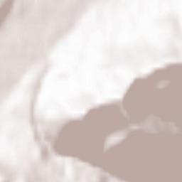 Halblech Terrain Map