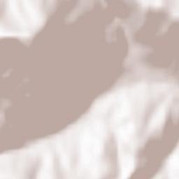 Raach am Hochgebirge Terrain Map