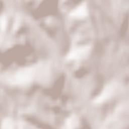 Schwarzenbach Terrain Map