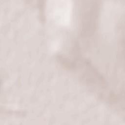 Todireni Terrain Map