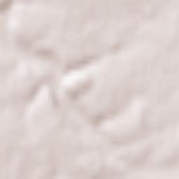 Saint-Paterne-Racan Terrain Map