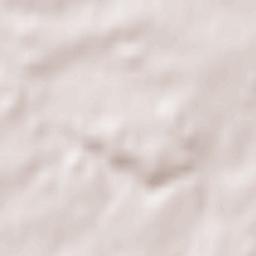 Neuvy-le-Roi Terrain Map