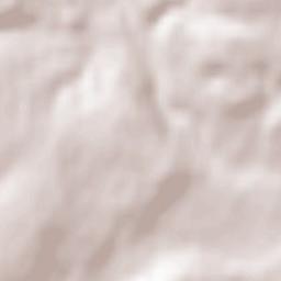 Selongey Terrain Map