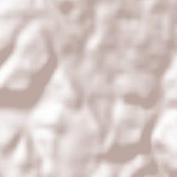 Inzlingen Terrain Map