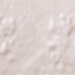 Langrickenbach Terrain Map