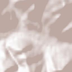 Waidring Terrain Map