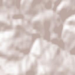 Lichtenegg Terrain Map