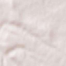 Arieșu de Pădure Terrain Map