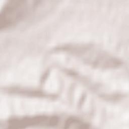 Dumbrăviţa Terrain Map