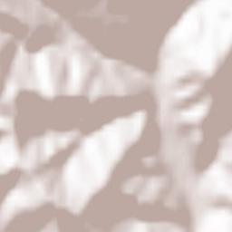 Strâmbu-Băiuț Terrain Map