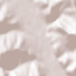 Mănăstirea Humorului Terrain Map