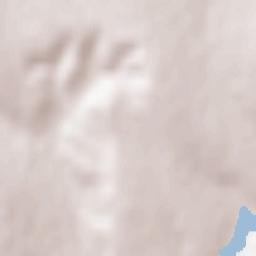 Fălești Terrain Map