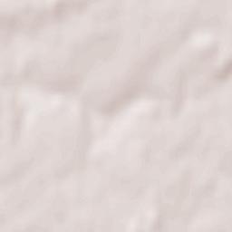 Neuillé-Pont-Pierre Terrain Map