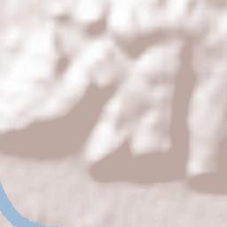 Bettingen Terrain Map