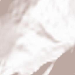 Rettenberg Terrain Map