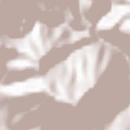 Sankt Ilgen Terrain Map