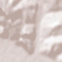 Păltinoasa Terrain Map