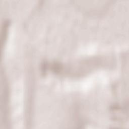 Răuseni Terrain Map