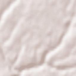 Nouzilly Terrain Map