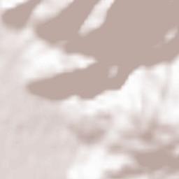 Burgberg Terrain Map