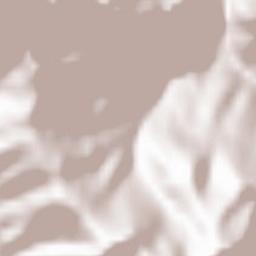 Johnsbach Terrain Map