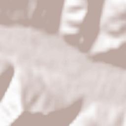 Câmpulung Moldovenesc Terrain Map