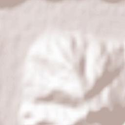 Bucșoaia Terrain Map