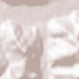 Oraş Gura Humorului Terrain Map