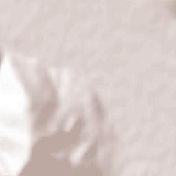 Comuna Păltinoasa Terrain Map