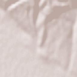 Capu Codrului Terrain Map