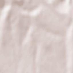 Berchișești Terrain Map