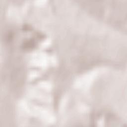 Bunești Terrain Map