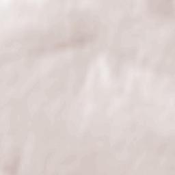 Mykolayivka Terrain Map